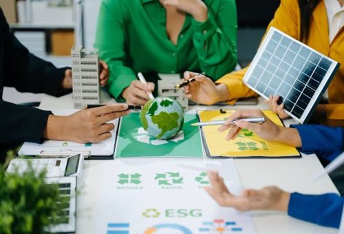 Regional Businesses Embrace Sustainable Growth and Green Innovation