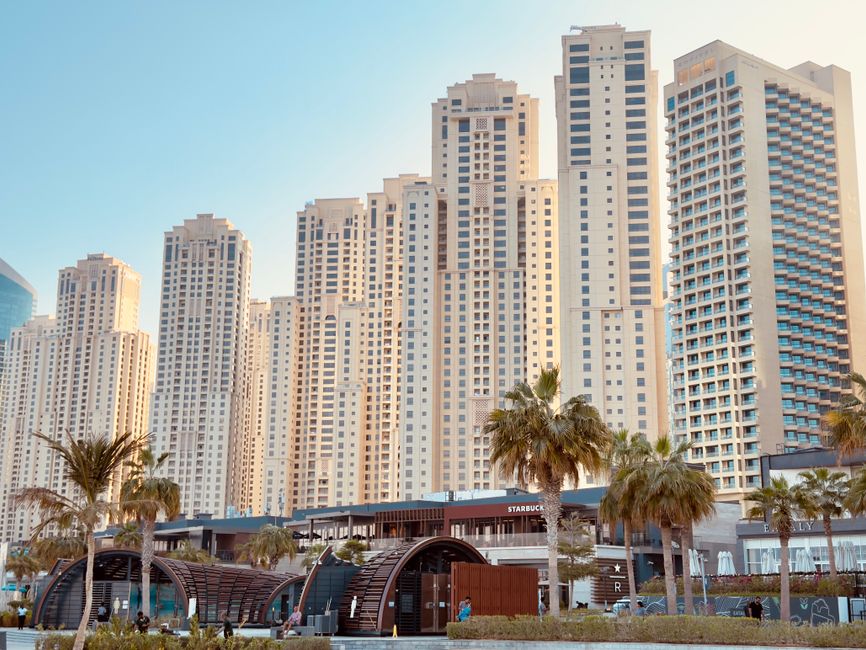 Two fractional leadership UAE executives discussing startup hiring trends