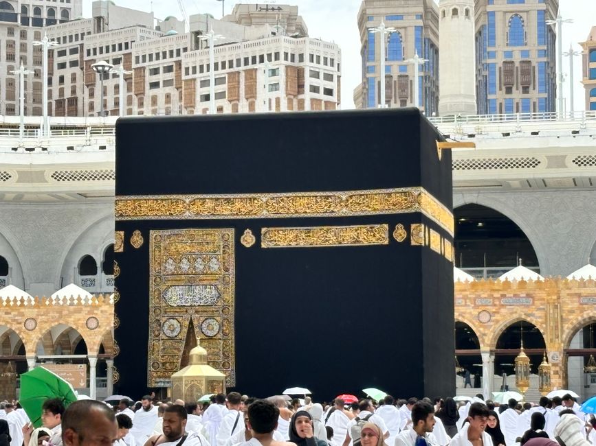 Gold bars and coins reflecting changing gold price saudi arabia market trends